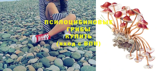 стаф Бугульма